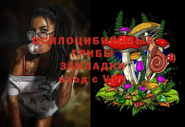 apvp Арсеньев