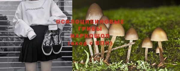 apvp Арсеньев