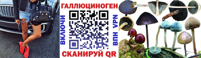 Псилоцибиновые грибы мицелий  KRAKEN маркетплейс  Козьмодемьянск 